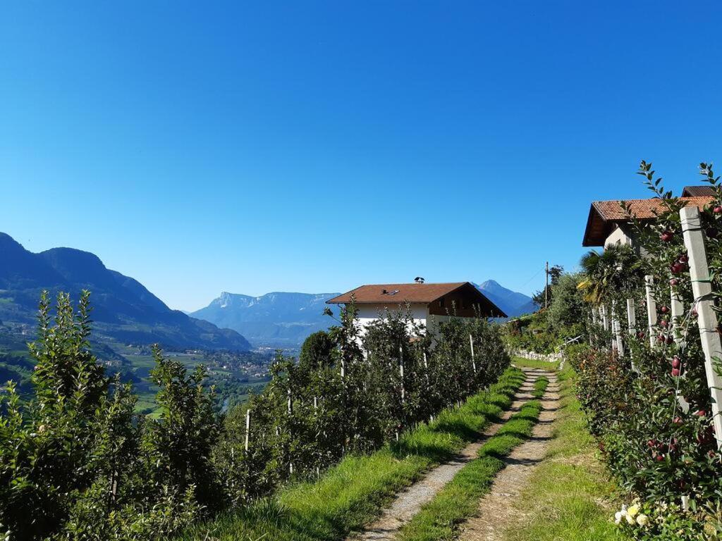 Panoramawohnung Annaheim Rifiano Dış mekan fotoğraf